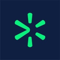 Senior Risk Expert, Cybersecurity
