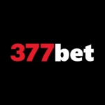 377bet