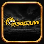 Socolive10 art