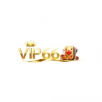 Vip66