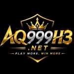 aq999h3 net