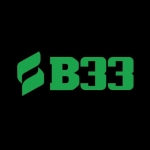 b33 jpnet
