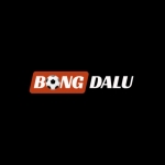 Bongdalu2026net