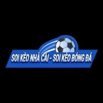 Bxhbongdaon