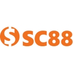 C88seocom11