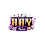 HAYWIN