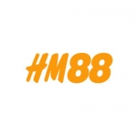 HM88 net