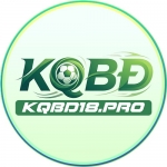 KQBD 18pro