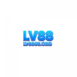 Lv8868org