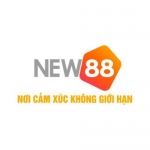 New88