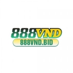 888Vnd bid