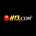 H13 Dev