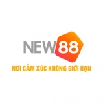 NEW88