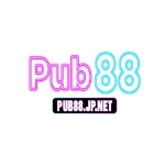 Pub88 jpnet