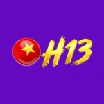 SH133 Net