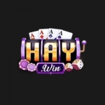 Haywin
