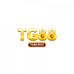 TG88