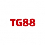 Tg88 nyc