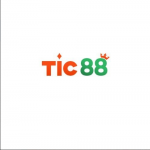 Nhà Cái TIC88