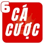Trangcacuocb2vn
