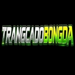 Trang Cá Độ Bóng Đá