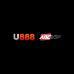 U888 limo