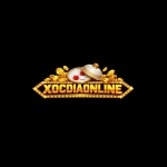 Xóc đĩa online